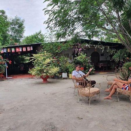 Alojamiento Casa De Campo Los Cactus فيلافيجا المظهر الخارجي الصورة