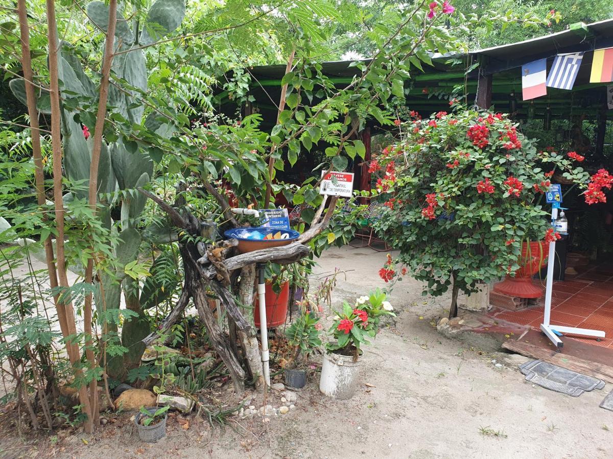 Alojamiento Casa De Campo Los Cactus فيلافيجا المظهر الخارجي الصورة