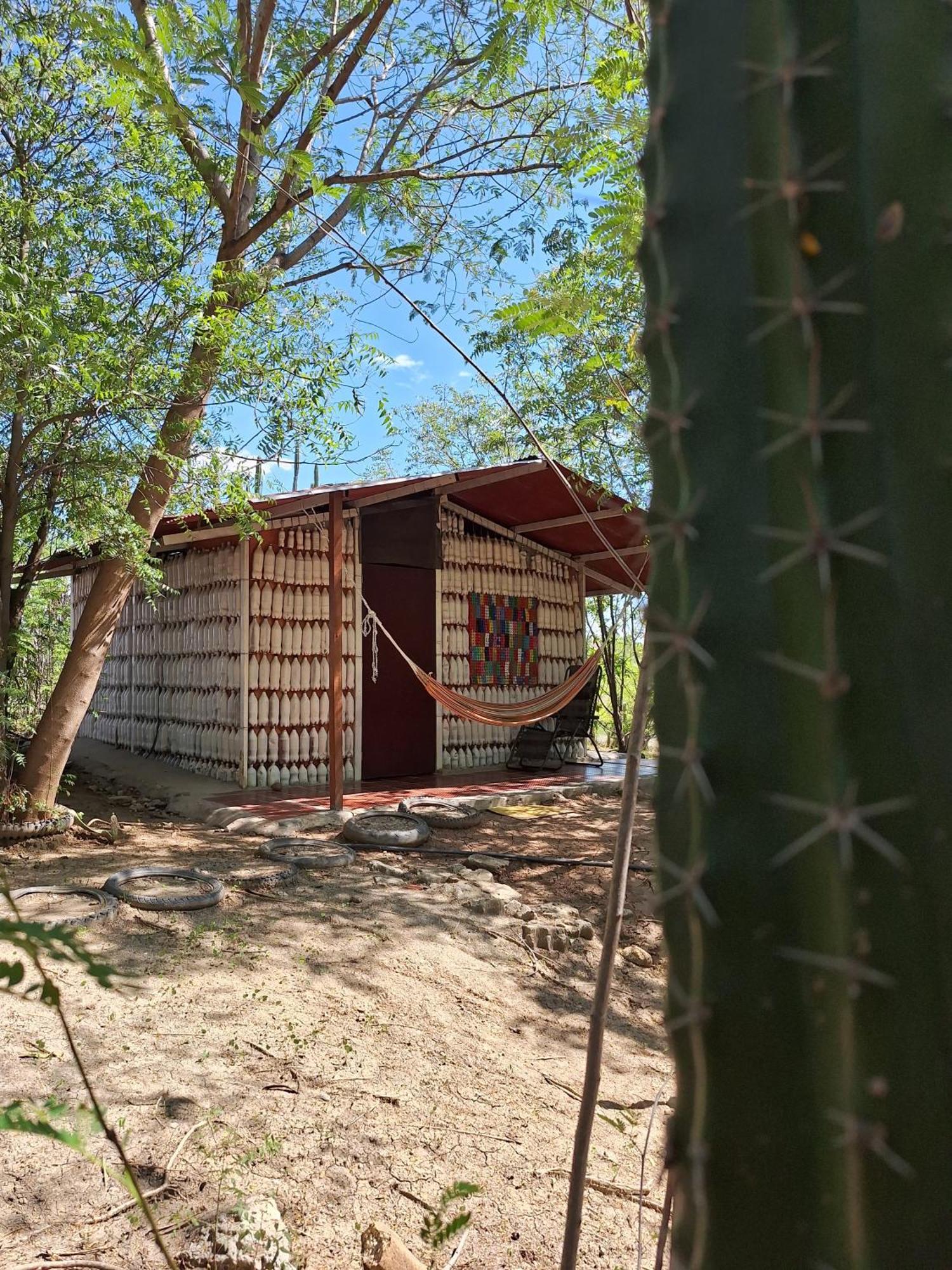 Alojamiento Casa De Campo Los Cactus فيلافيجا المظهر الخارجي الصورة