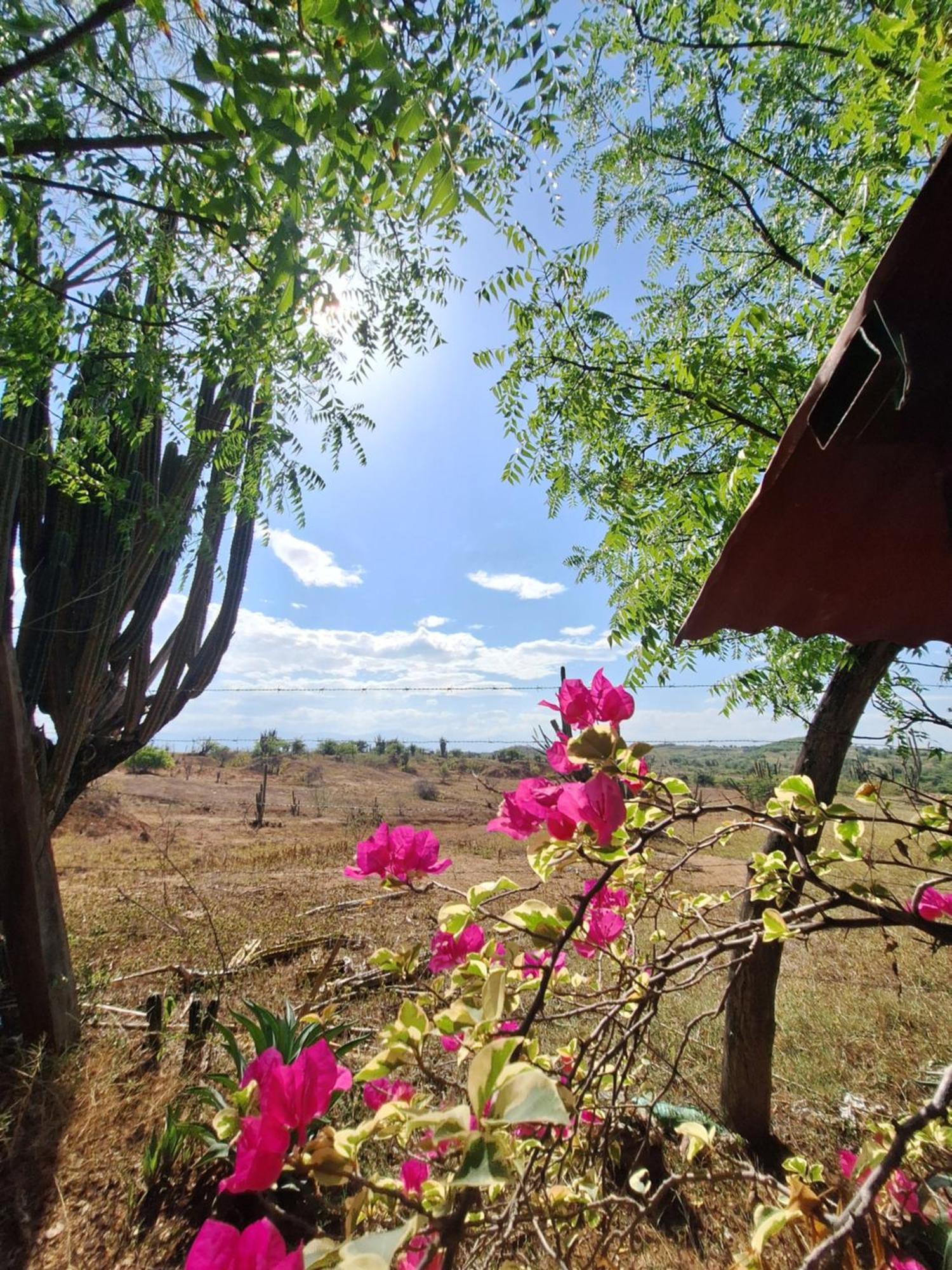 Alojamiento Casa De Campo Los Cactus فيلافيجا المظهر الخارجي الصورة