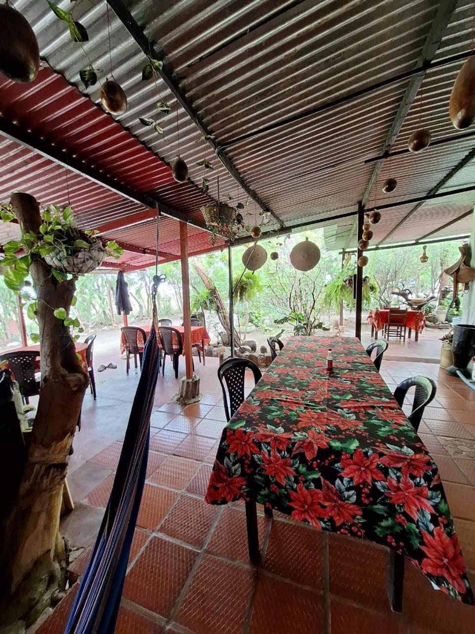 Alojamiento Casa De Campo Los Cactus فيلافيجا المظهر الخارجي الصورة