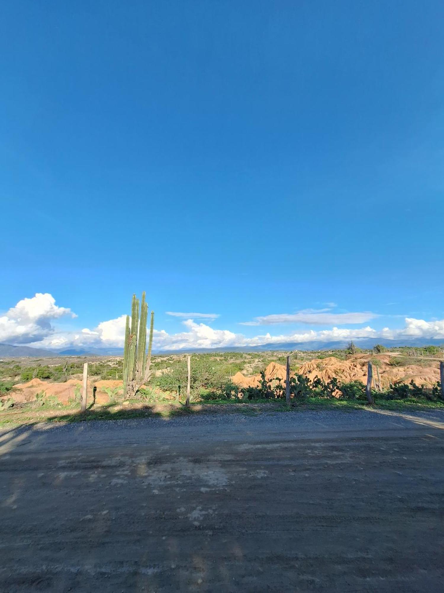 Alojamiento Casa De Campo Los Cactus فيلافيجا المظهر الخارجي الصورة
