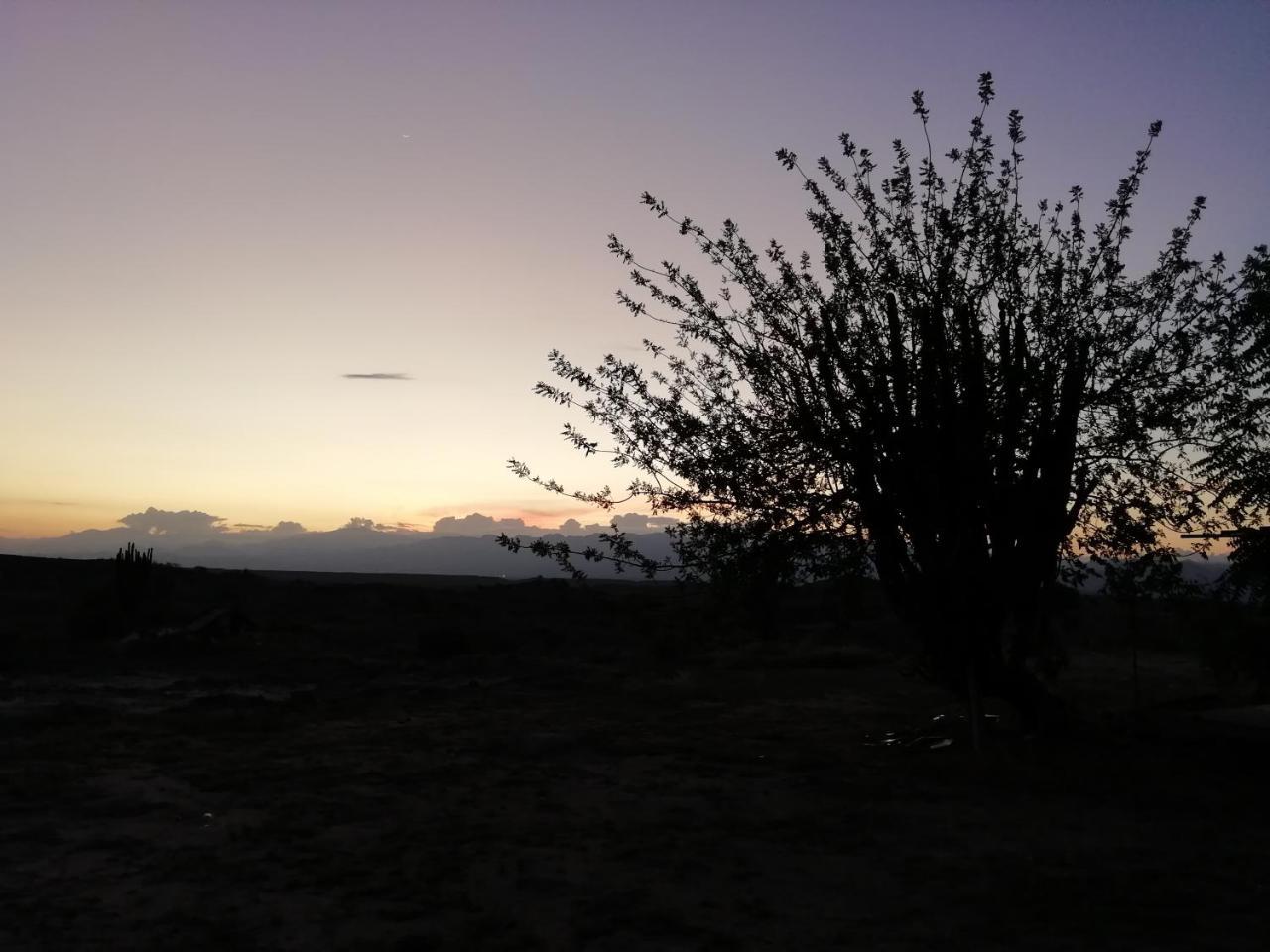 Alojamiento Casa De Campo Los Cactus فيلافيجا المظهر الخارجي الصورة