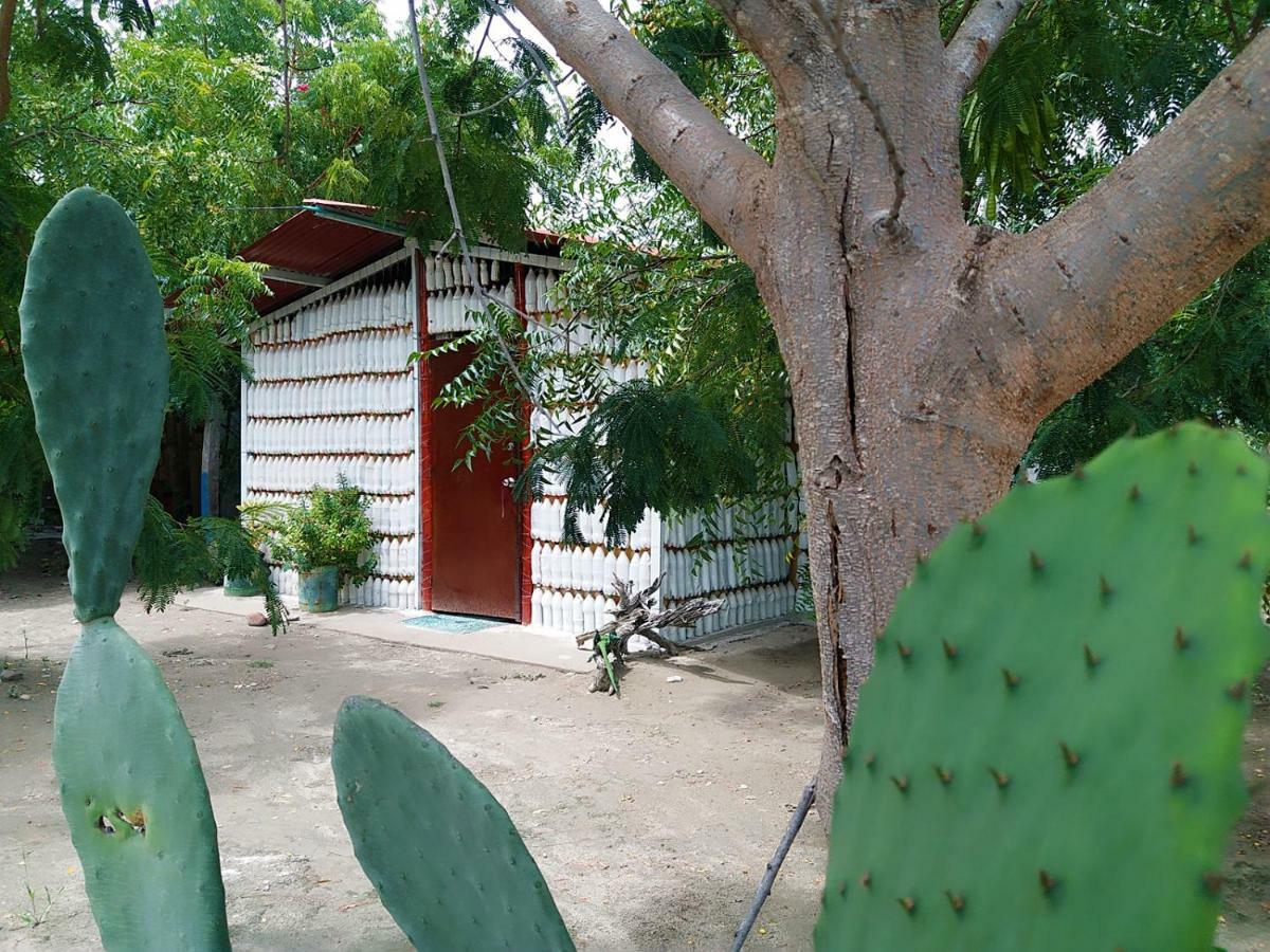 Alojamiento Casa De Campo Los Cactus فيلافيجا المظهر الخارجي الصورة