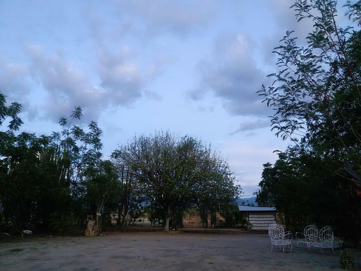 Alojamiento Casa De Campo Los Cactus فيلافيجا المظهر الخارجي الصورة
